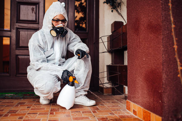 Reliable Ant Control contractor in Plum Grove, TX by Show Me Pest Control